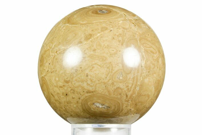 Polished Bird's Eye Jasper (Rhyolite) Sphere - Utah #371231
